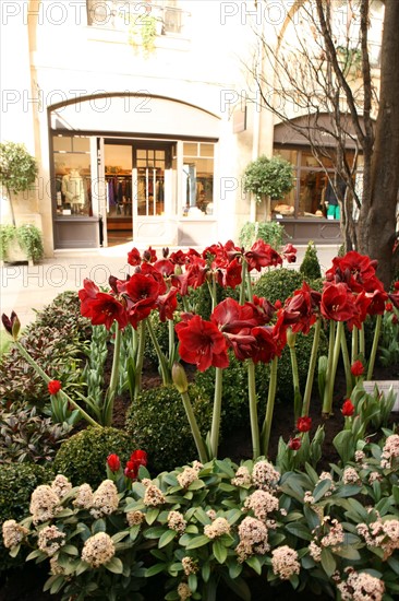 France, ile de france, paris 8e arrondissement, cite berryer, rue royale, boutiques, mode

Date : 2011-2012