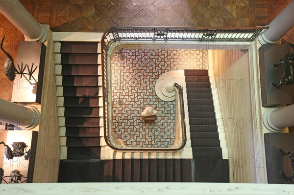 France, ile de france, paris 8e arrondissement, 7 rue velasquez, musee cernuschi, musee des arts asiatiques, mairie de paris, culture, hotel particulier, grand escalier

Date : 2011-2012