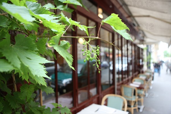 France, ile de france, paris, 11e arrondissement, 18 rue paul bert, restaurant, bistrot paul bert

Date : 2011-2012