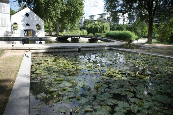 France, ile de france, paris, 12e arrondissement, bercy, parc de bercy, plan d'eau, nenuphars

Date : 2011-2012