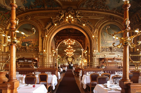 France, ile de france, paris 12e arrondissement, place louis armand, gare de lyon, restaurant le train bleu, gastronomie

Date : 2011-2012