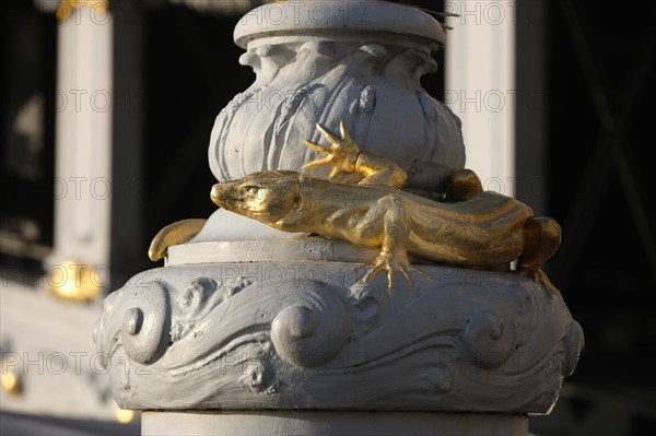 France, ile de france, paris 7e-16e arrondissement, pont alexandre III, seine, salamandre, quai,