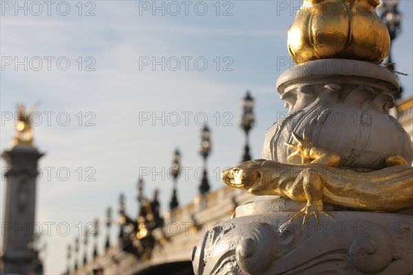 France, ile de france, paris 7e-16e arrondissement, pont alexandre III, seine, salamandre, quai,