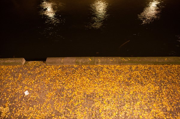 france, ile de france, paris, 1e arrondissement, quai de montebello, seine, nuit, matin, eau, passant, notre dame,