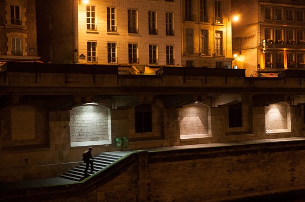 france, ile de france, paris, 1e arrondissement, quai de montebello, seine, nuit, matin, eau, passant, notre dame,