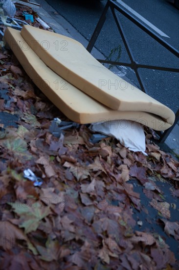 france, region ile de france, paris 16e arrondissement, avenue du president wilson, vieux matelas abandonne dans les feuilles mortes, matin,