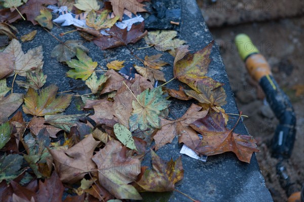 france, region ile de france, paris 16e arrondissement, avenue du president wilson, trottoir, feuilles mortes, chantier, tuyaux, couleur, matin,