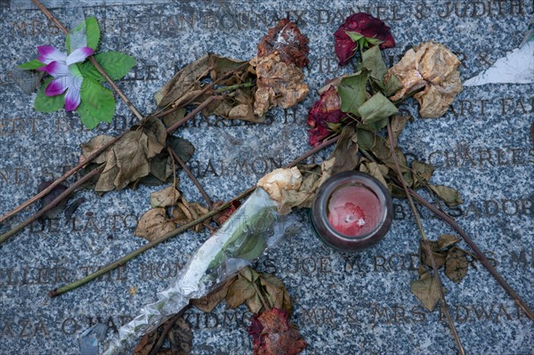 france, region ile de france, paris 16e arrondissement, place et pont de l'alma, memorial pour lady diana spencer, fleurs fanees, roses,signes de ville, matin,