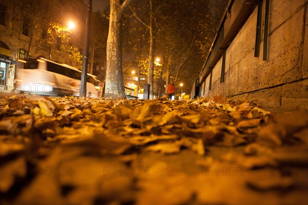 france, ile de france, paris, 1e arrondissement, ile de la cite, seine, quai de l'horloge, conciergerie depuis le quai de gesvres, nuit, matin,