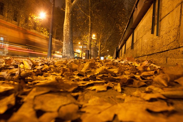 france, ile de france, paris, 1e arrondissement, ile de la cite, seine, quai de l'horloge, conciergerie depuis le quai de gesvres, nuit, matin,