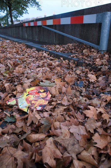 france, region ile de france, paris 7e arrondissement, quai d'orsay, feuilles mortes, automne, voie sur berge, paquet de chips dans les feuilles, pollution, detritus, environnement,