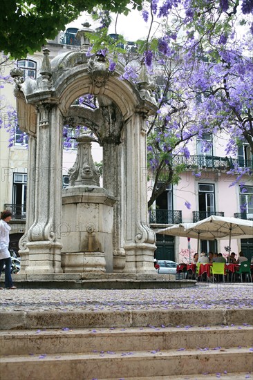 portugal, lisbonne, lisboa, signes de ville, lorgo do carmo,  paves, fleurs tombees des arbres, bairro alto, place, sol, voirie
Date : septembre 2011