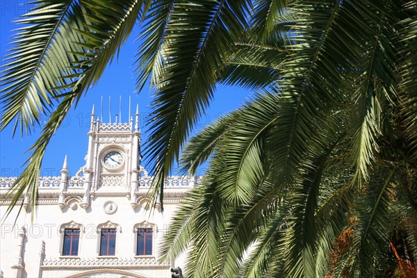 portugal, lisbonne, lisboa, signes de ville, rossio, praca don pedro, facade gare, palmier, voirie
Date : septembre 2011