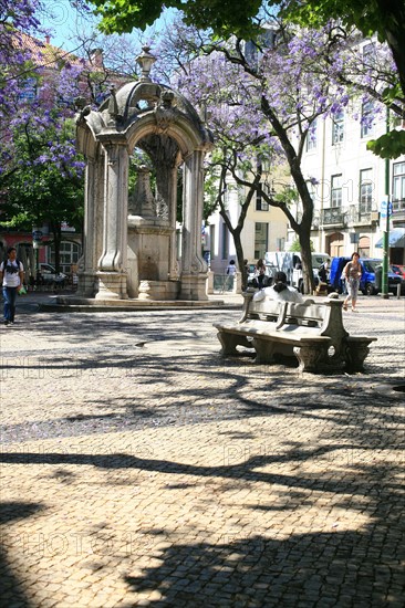 portugal, lisbonne, lisboa, signes de ville, lorgo do carmo,  paves, fleurs tombees des arbres, bairro alto, place, sol, voirie
Date : septembre 2011