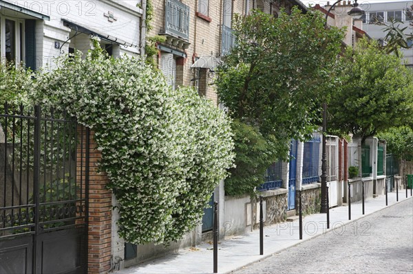 France, ile de france, paris, 13e arrondissement, villa daviel, maisons individuelles avec jardin,  la butte aux cailles,


Date : 2011-2012