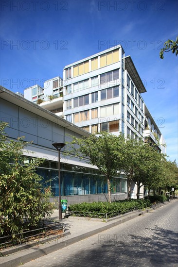 France, ile de france, paris, 13e arrondissement, zac paris rive gauche, rue georges balanchine, groupe scolaire george balanchine, ecole elementaire et ecole maternelle, education,


Date : 2011-2012