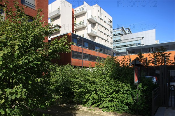 France, ile de france, paris, 13e arrondissement, zac paris rive gauche, rue rene goscini, groupe scolaire primo levi, ecole elementaire et ecole maternelle, education,


Date : 2011-2012