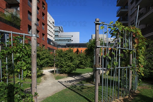 France, ile de france, paris, 13e arrondissement, zac paris rive gauche, rue rene goscini, groupe scolaire primo levi, ecole elementaire et ecole maternelle, education, depuis le jardin abbe pierre,


Date : 2011-2012