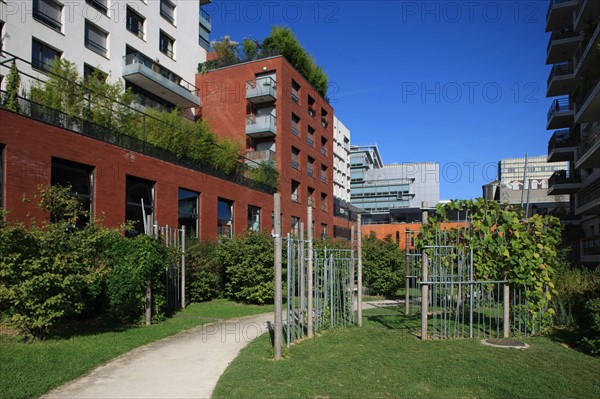 France, ile de france, paris, 13e arrondissement, zac paris rive gauche, rue rene goscini, groupe scolaire primo levi, ecole elementaire et ecole maternelle, education, depuis le jardin abbe pierre,


Date : 2011-2012