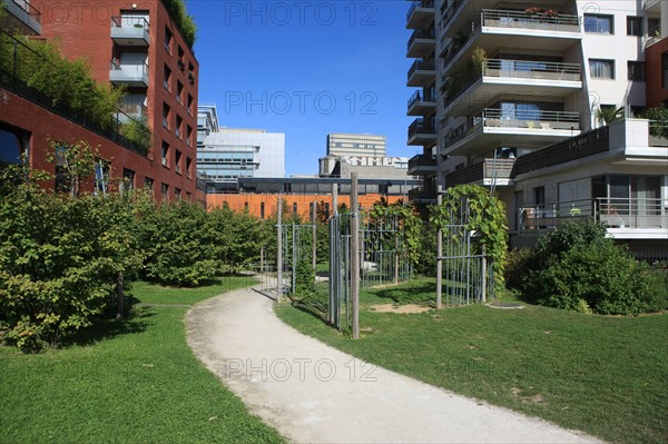 France, ile de france, paris, 13e arrondissement, zac paris rive gauche, rue rene goscini, groupe scolaire primo levi, ecole elementaire et ecole maternelle, education, depuis le jardin abbe pierre,


Date : 2011-2012