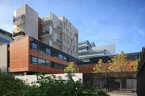 France, ile de france, paris, 13e arrondissement, zac paris rive gauche, rue rene goscini, groupe scolaire primo levi, ecole elementaire et ecole maternelle, education,


Date : 2011-2012