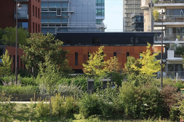 France, ile de france, paris, 13e arrondissement, zac paris rive gauche, rue rene goscini, groupe scolaire primo levi, ecole elementaire et ecole maternelle, education, depuis le jardin abbe pierre,


Date : 2011-2012