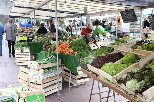 France, ile de france, paris, 14e arrondissement, place brancusi, rue de l'ouest, marche biologique,


Date : 2011-2012