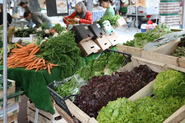 France, ile de france, paris, 14e arrondissement, place brancusi, rue de l'ouest, marche biologique,


Date : 2011-2012