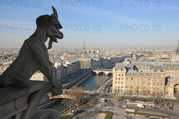 France, ile de france, paris 4e arrondissement, ile de la cite, parvis, notre dame de paris, cathedrale, montee aux tours, panorama, chimere,