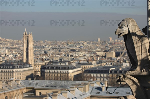 France, ile de france, paris 4e arrondissement, ile de la cite, parvis, notre dame de paris, cathedrale, montee aux tours, panorama,