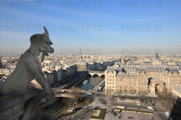 France, ile de france, paris 4e arrondissement, ile de la cite, parvis, notre dame de paris, cathedrale, montee aux tours, panorama,
