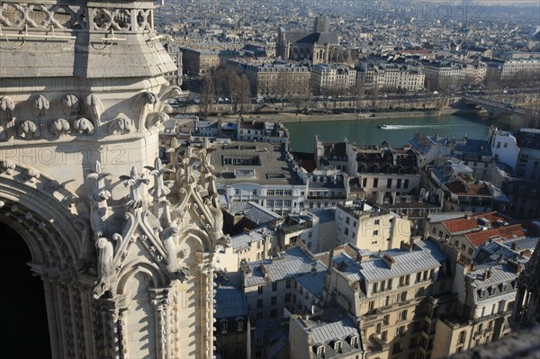 France, ile de france, paris 4e arrondissement, ile de la cite, parvis, notre dame de paris, cathedrale, montee aux tours, panorama,