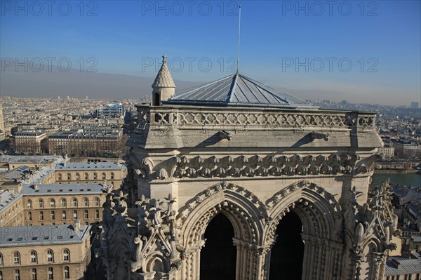 France, ile de france, paris 4e arrondissement, ile de la cite, parvis, notre dame de paris, cathedrale, montee aux tours, panorama,