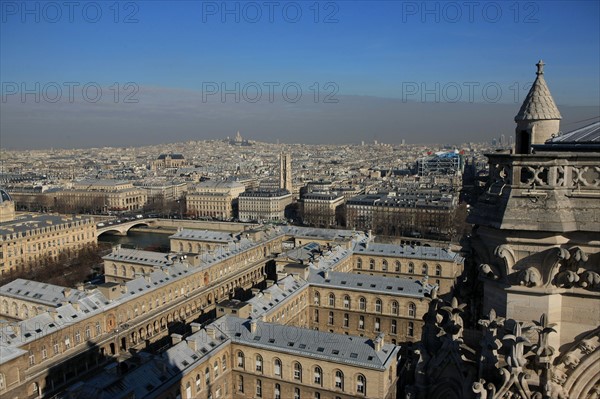 France, ile de france, paris 4e arrondissement, ile de la cite, parvis, notre dame de paris, cathedrale, montee aux tours, panorama,