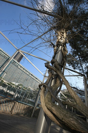 France, ile de france, paris 15e arrondissement, montparnasse, jardin atlantique, au dessus des voies de la gare montparnasse, arbre entrelace dans un poteau,