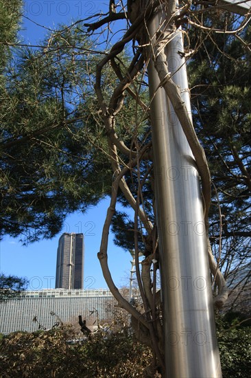 France, ile de france, paris 15e arrondissement, montparnasse, jardin atlantique, au dessus des voies de la gare montparnasse, arbre entrelace dans un poteau,