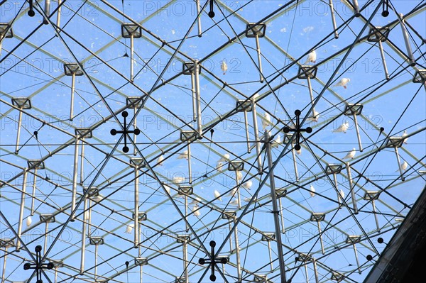 France, ile de france, paris 1er arrondissement, musee du louvre, carrousel, sous la pyramide de verre inversee, architecte ieoh ming pei, mouettes, oiseaux,