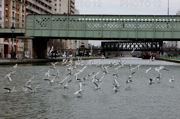 France, ile de france, paris 10e arrondissement, canal de l'ourcq, quai de l'oise, mouette, pont ferroviaire, bateau, peniche, passerelle, transport fluvial, crimee,