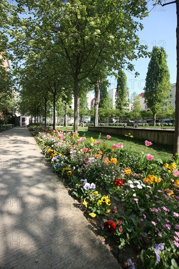 France, ile de france, paris 20e arrondissement, rue michel de bourges, square casque d'or, jardin public, fleurs, simone signoret, jacques becker, film,