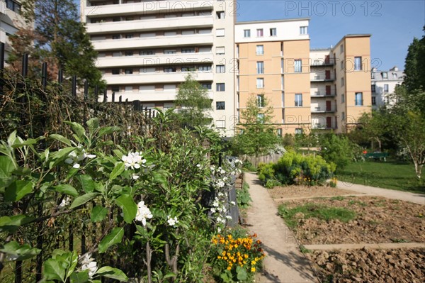 France, ile de france, paris 20e arrondissement, rue michel de bourges, square casque d'or, jardin public, fleurs, simone signoret, jacques becker, film,