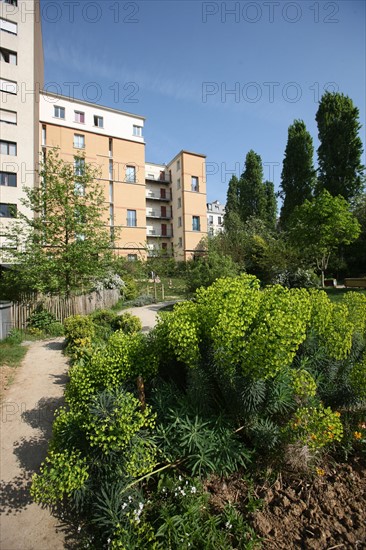 France, ile de france, paris 20e arrondissement, rue michel de bourges, square casque d'or, jardin public, fleurs, simone signoret, jacques becker, film,