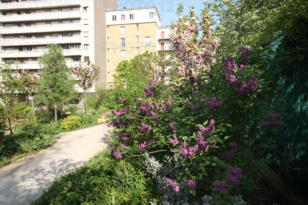 France, ile de france, paris 20e arrondissement, rue michel de bourges, square casque d'or, jardin public, fleurs, simone signoret, jacques becker, film,