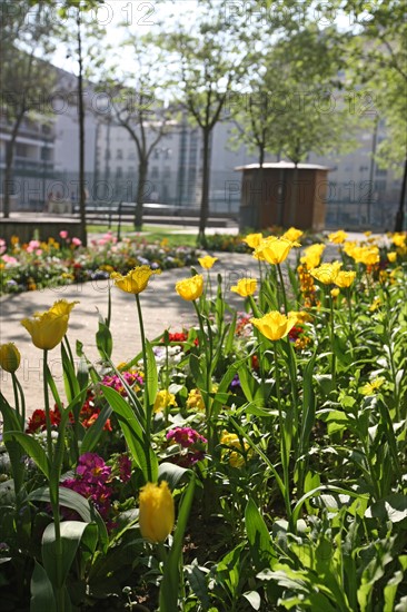 France, ile de france, paris 20e arrondissement, rue michel de bourges, square casque d'or, jardin public, fleurs, simone signoret, jacques becker, film,