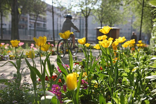 France, ile de france, paris 20e arrondissement, rue michel de bourges, square casque d'or, jardin public, fleurs, simone signoret, jacques becker, film,