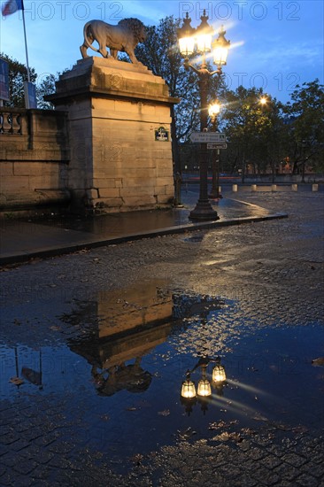 france, region ile de france, paris 8e arrondissement, place de la concorde, paves, fontaines, hotel de la marine, hotel de crillon, nuit, eclairage, reflet, lion, flaque d'eau,