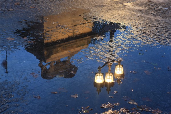 france, region ile de france, paris 8e arrondissement, place de la concorde, paves, fontaines, hotel de la marine, hotel de crillon, nuit, eclairage, reflet, lion, flaque d'eau,