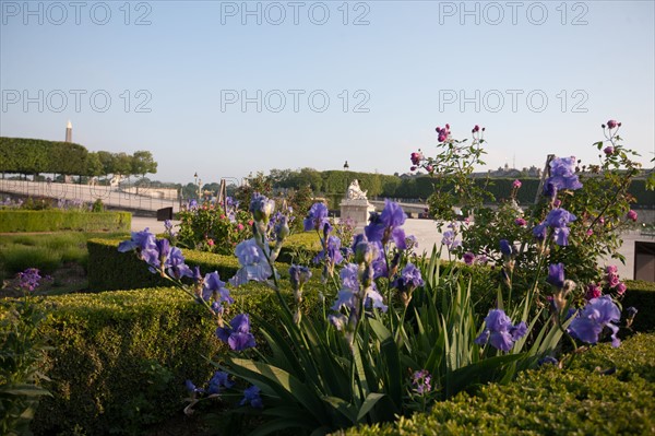 France, Region Ile de France, Paris, 1er arrondissement, jardin des Tuileries, bassin,