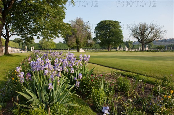 France, Region Ile de France, Paris, 1er arrondissement, jardin des Tuileries, bassin,