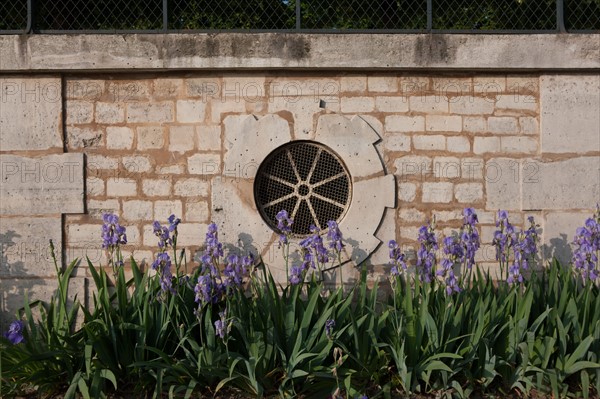 France, Region Ile de France, Paris, 1er arrondissement, jardin des Tuileries, bassin,