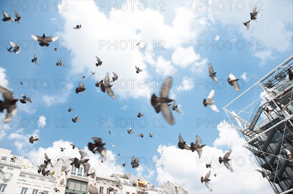 France, Région Ile de France, Paris 4e arrondissement, Beaubourg, Centre Georges Pompidou, piazza, place, touristes, pigeons,